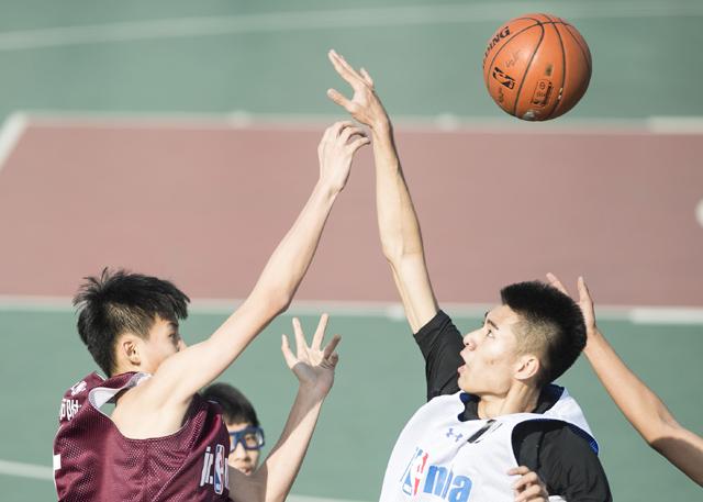 泽村玲子在线