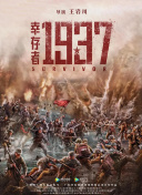 午夜黄色网
